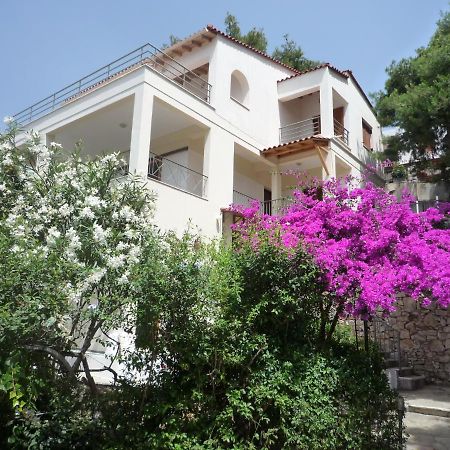 Villa Iguana Votsi Votsi  Exterior foto