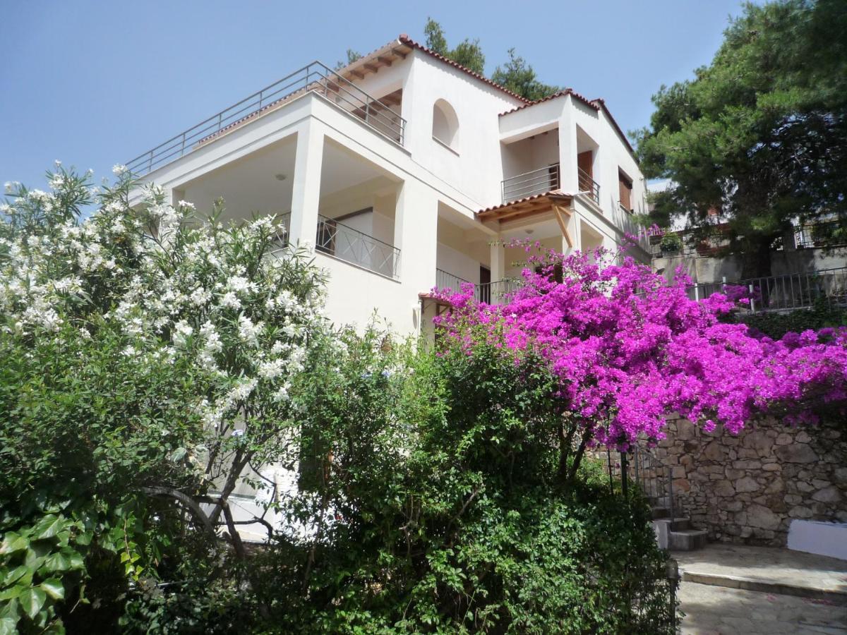 Villa Iguana Votsi Votsi  Exterior foto